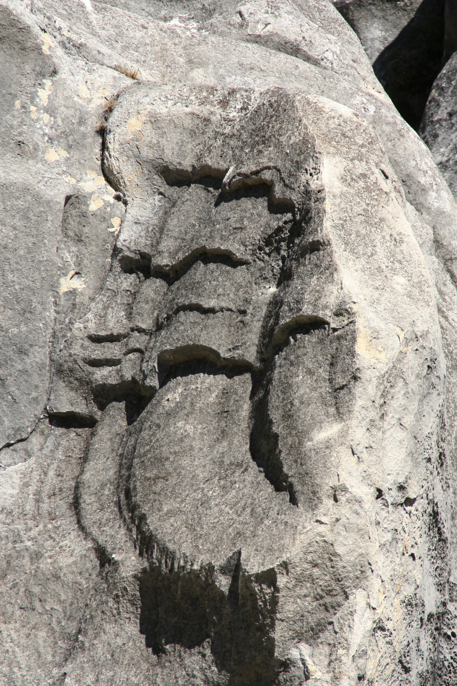 Natural bust?