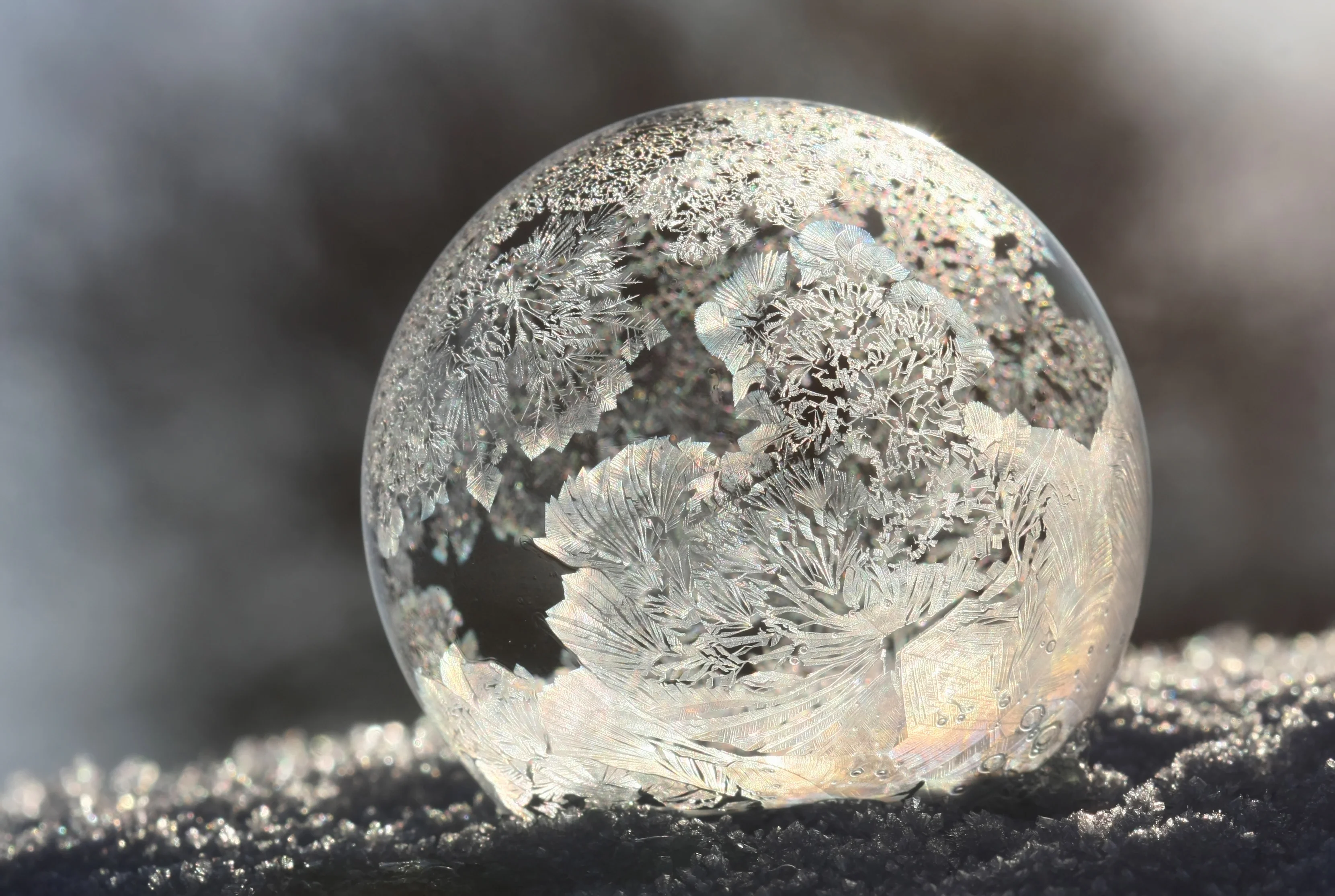 Frosted Globe