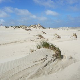 The birth of a dune