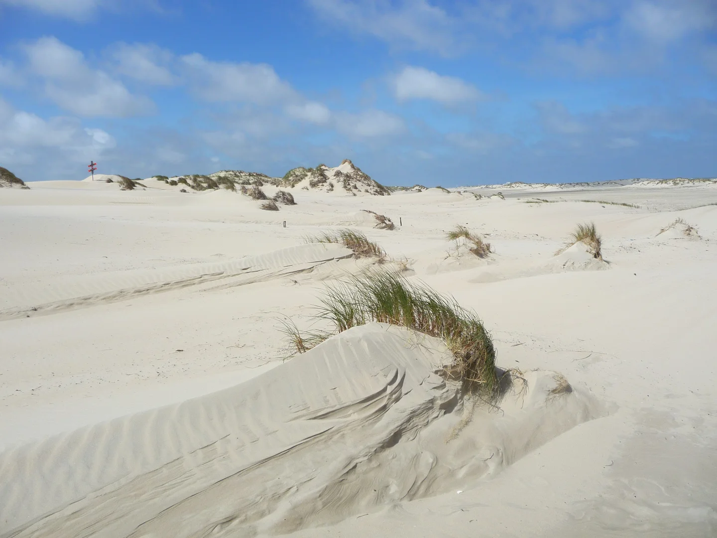 The birth of a dune