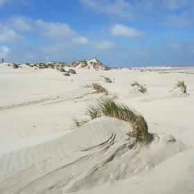 The birth of a dune
