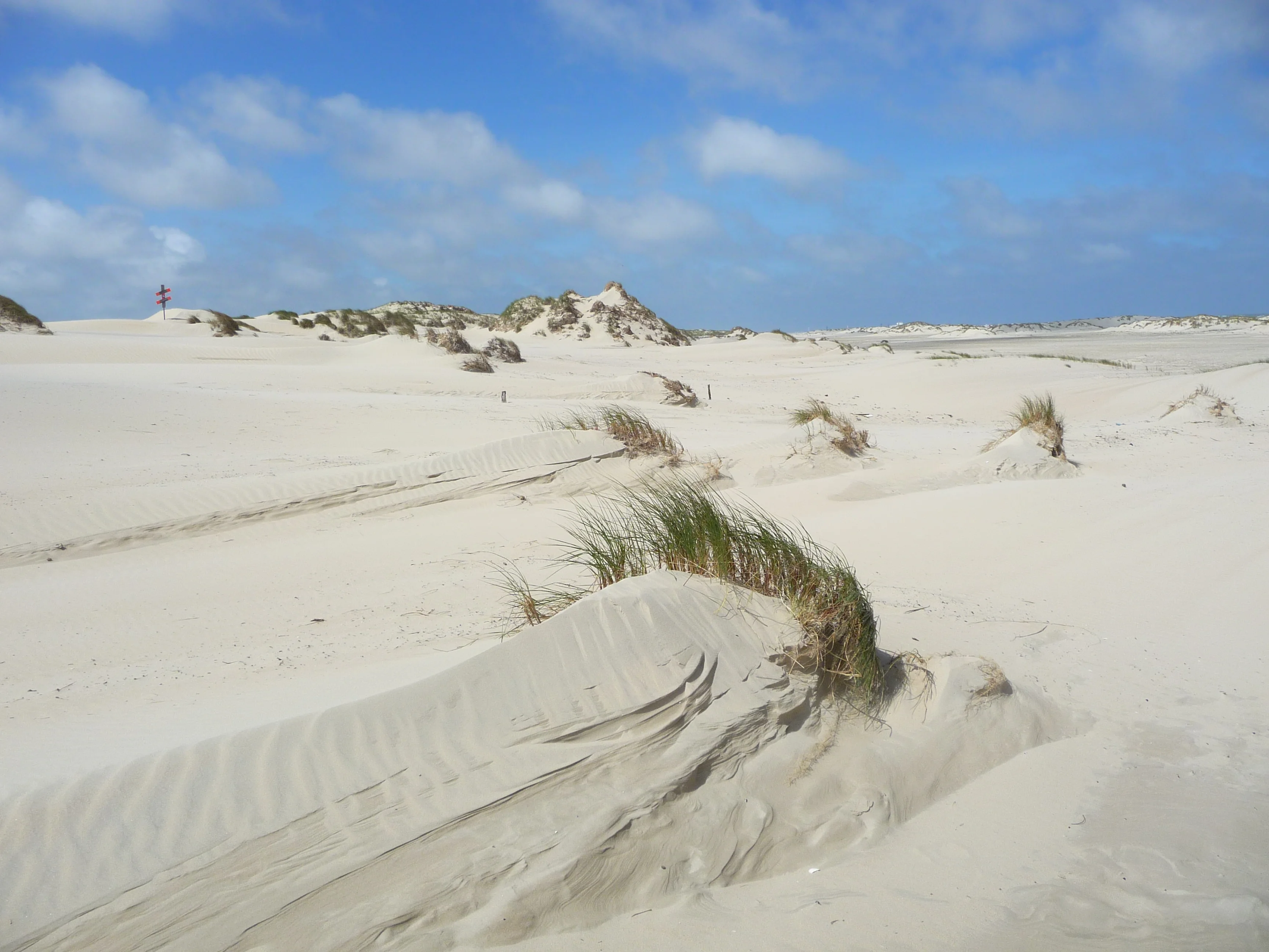 The birth of a dune