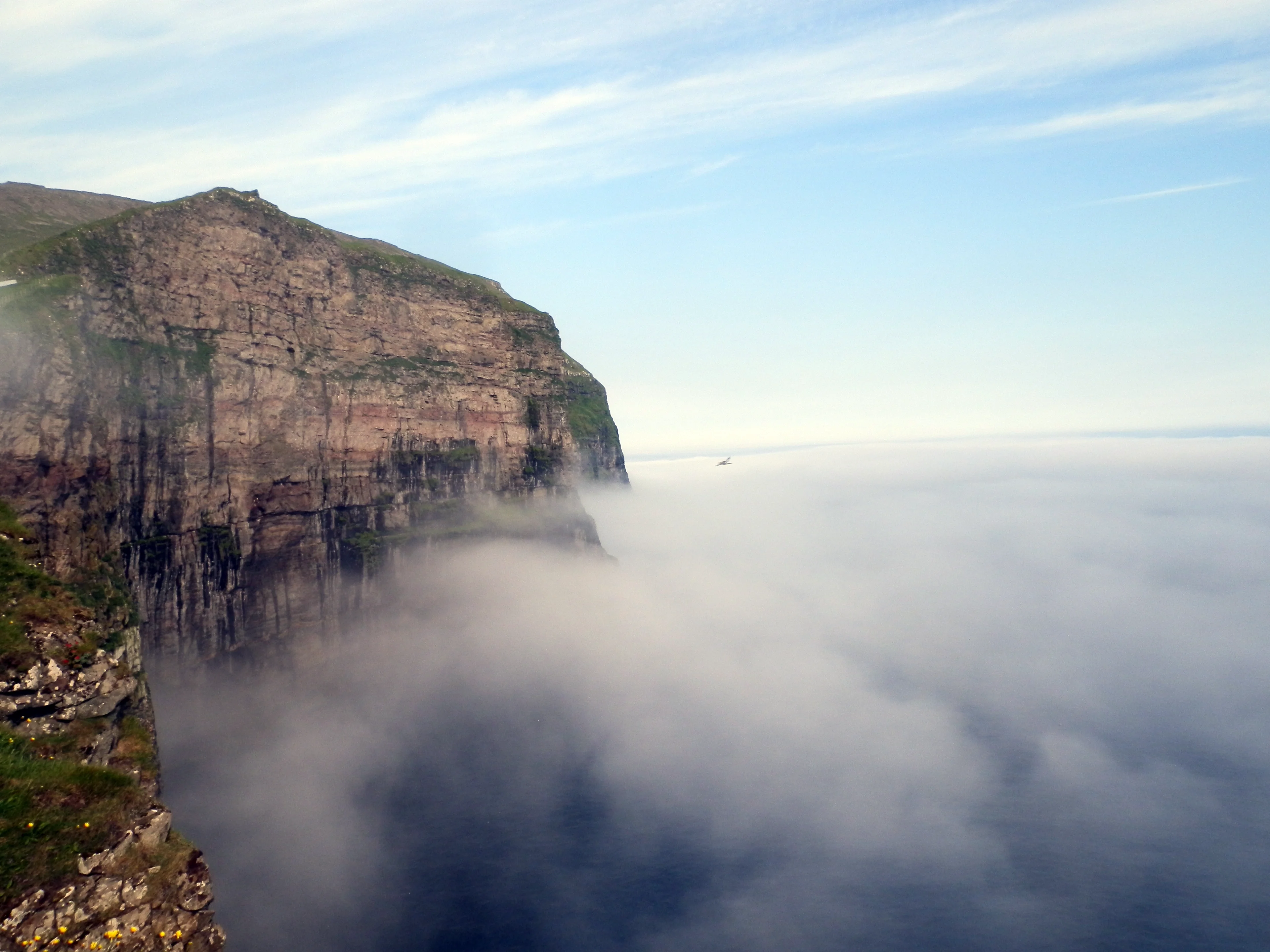 Foggy cliffs