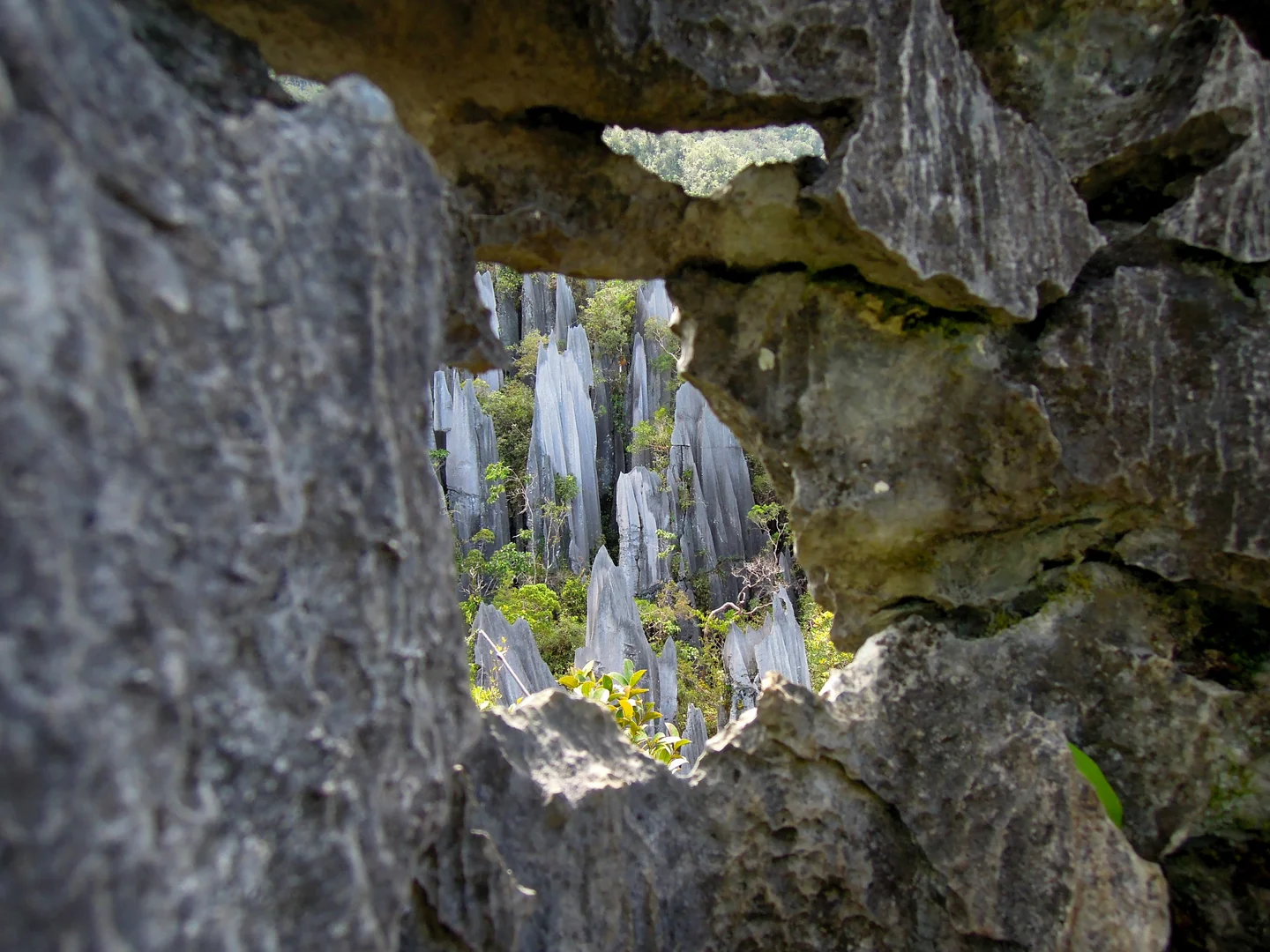 Through the hole