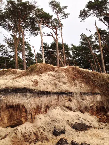Coastal Soil Profil Erosion