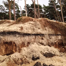 Coastal Soil Profil Erosion