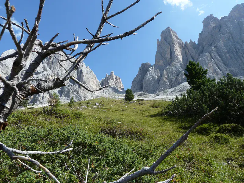 View in the Dolomites