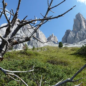 View in the Dolomites