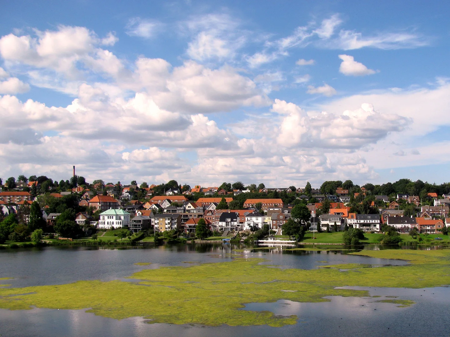 Blooming Lake