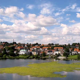 Blooming Lake