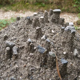 Looking to the small: Earth micro-pillars