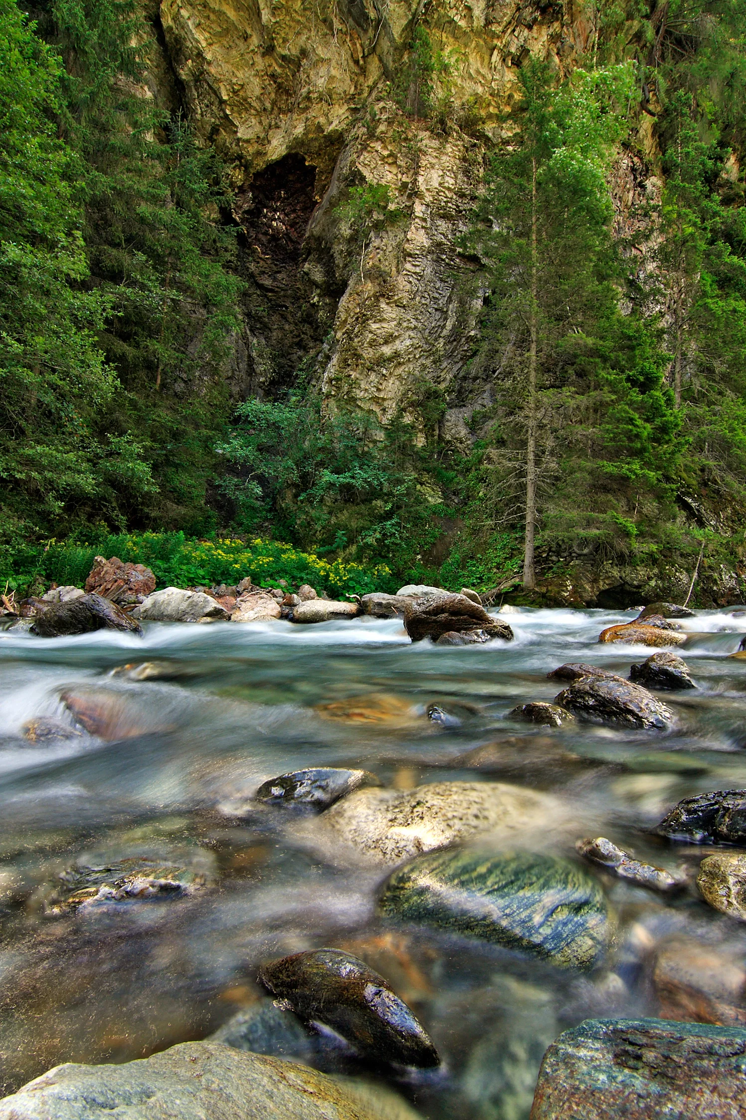 Mountain stream in summer