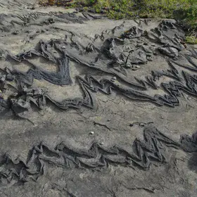 Rock folded by a glacier (Lahka national park)