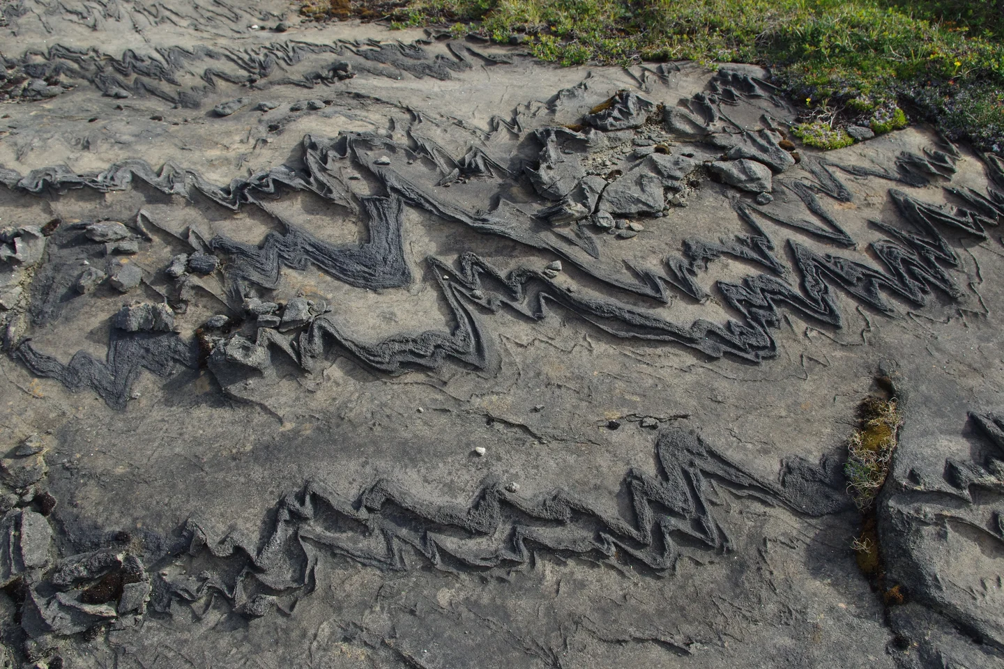 Rock folded by a glacier (Lahka national park)