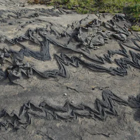 Rock folded by a glacier (Lahka national park)