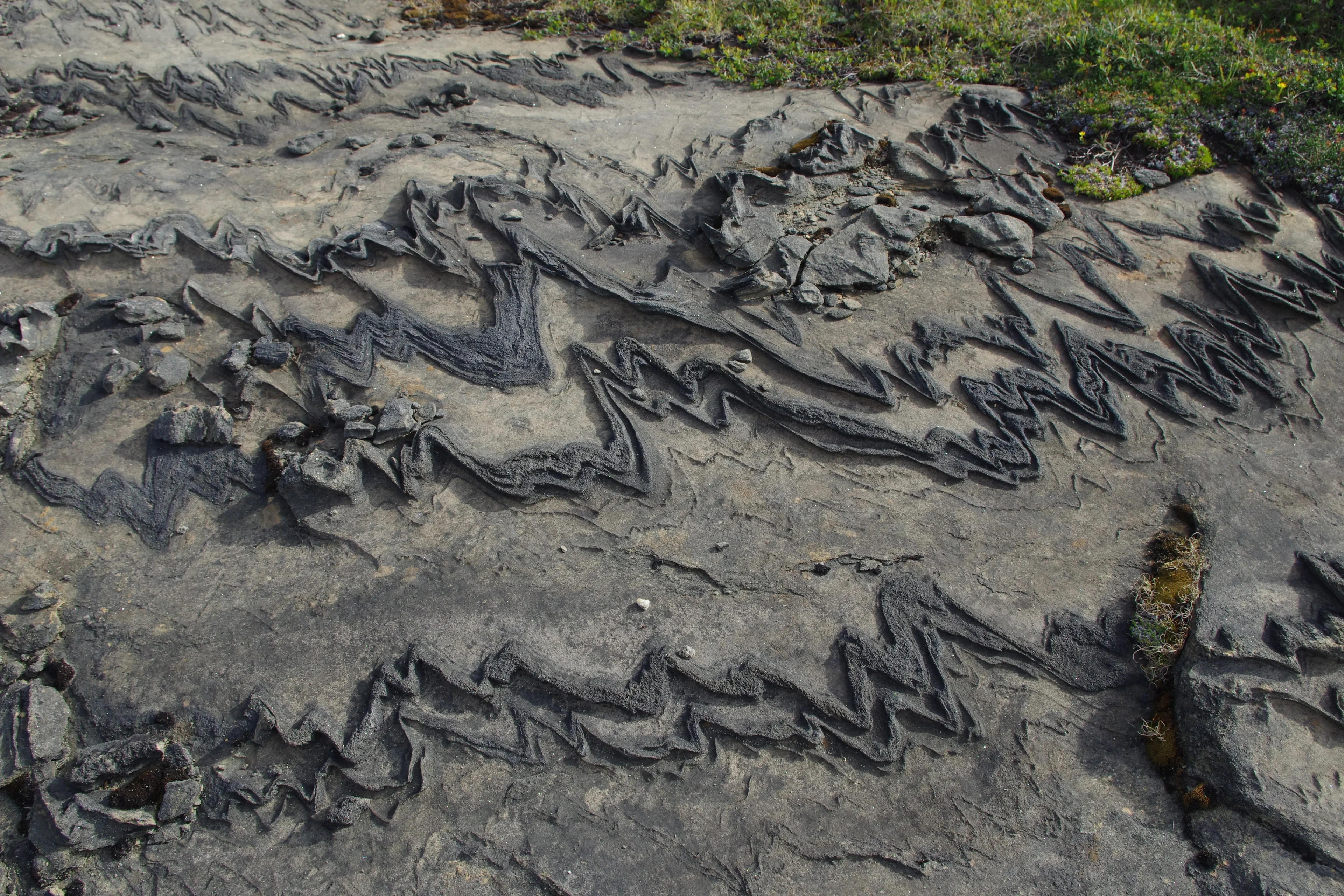 Rock folded by a glacier (Lahka national park)