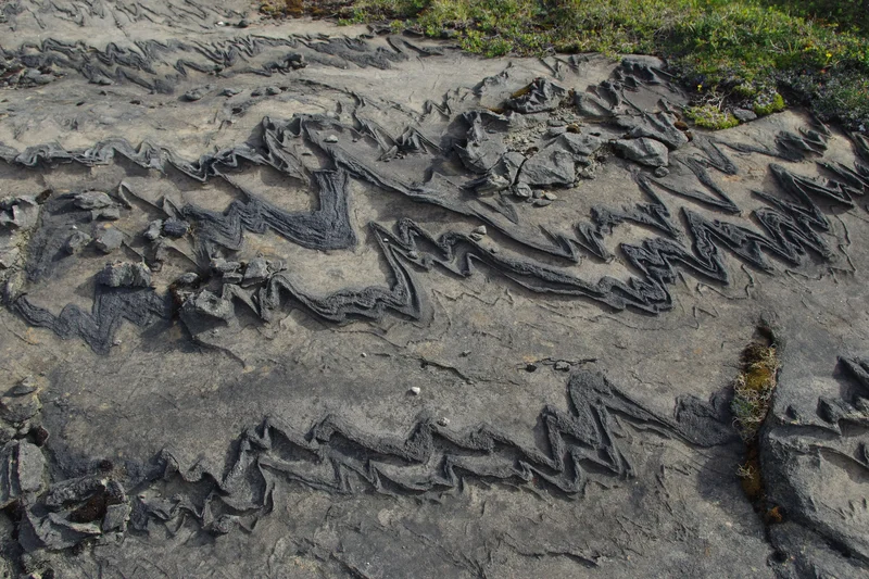 Rock folded by a glacier (Lahka national park)