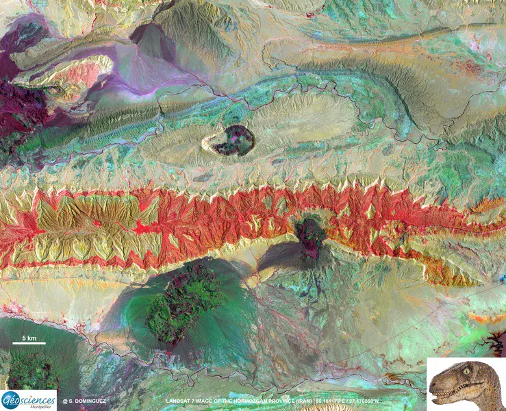 A velociraptor in the Zagros fold and thrust belt