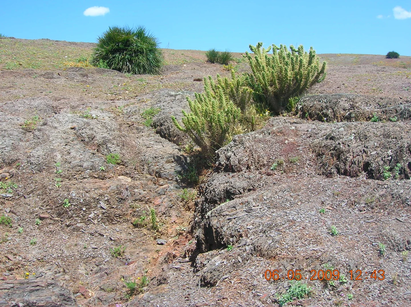 Precambrian