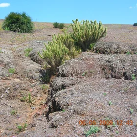 Precambrian