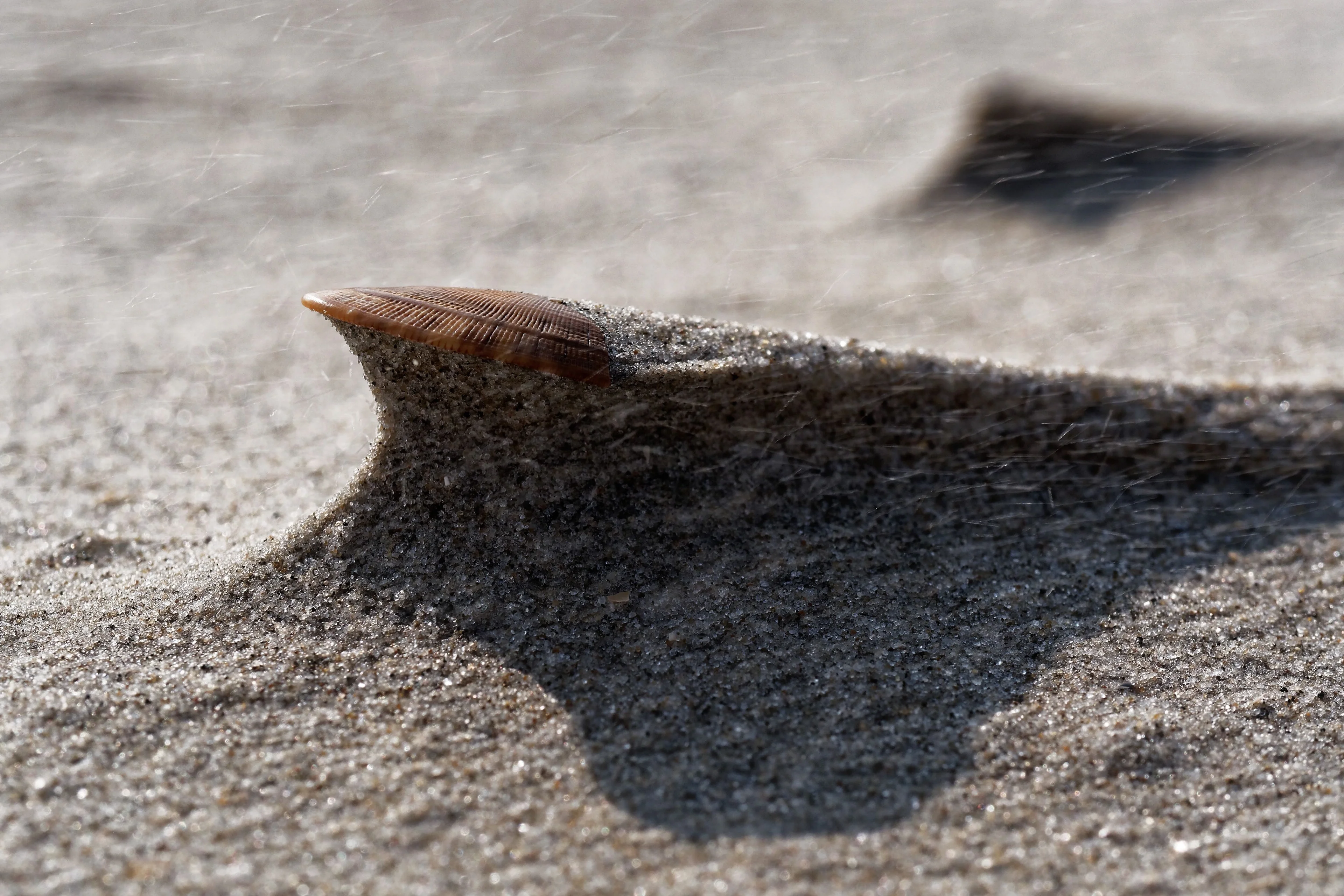 Erosion at work