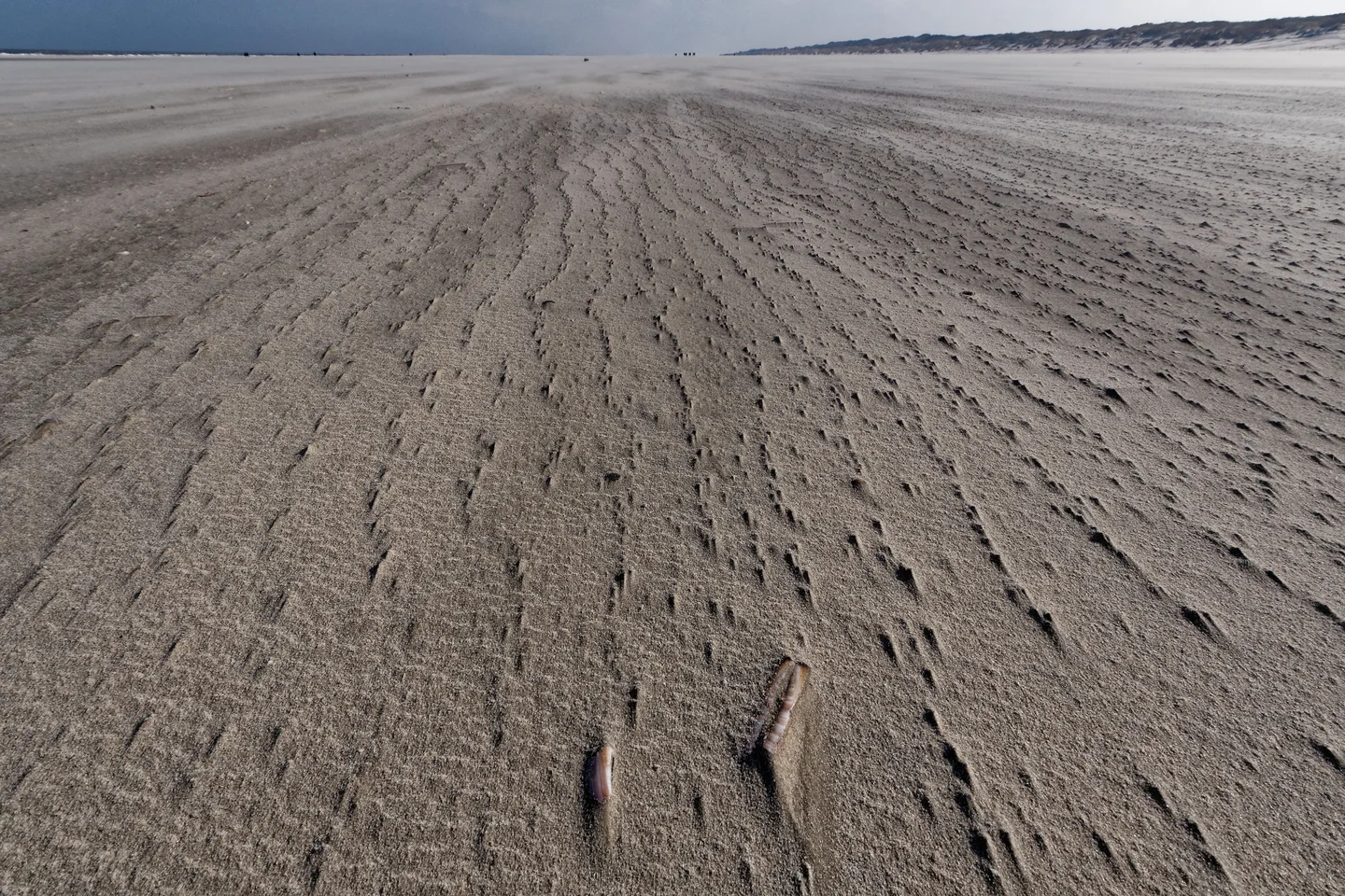 Erosion Patterns at Beach