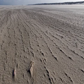 Erosion Patterns at Beach