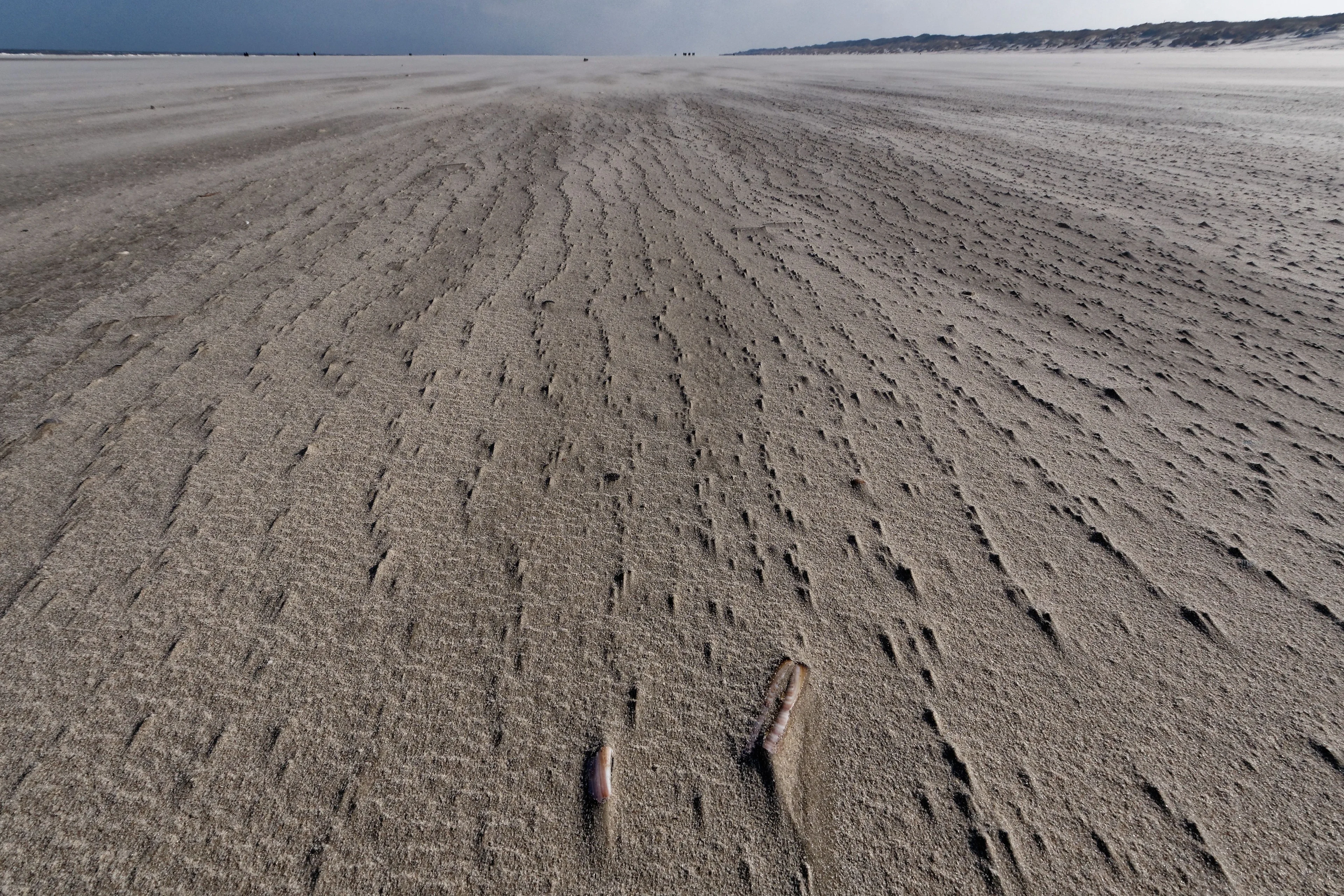 Erosion Patterns at Beach