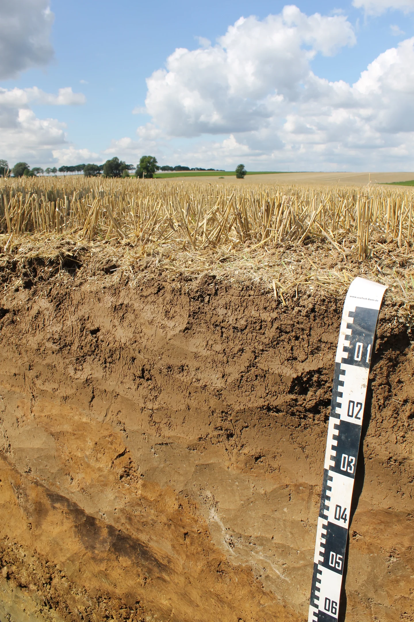 Deep ploughed Luvisol