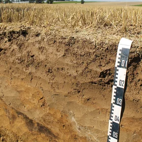 Deep ploughed Luvisol