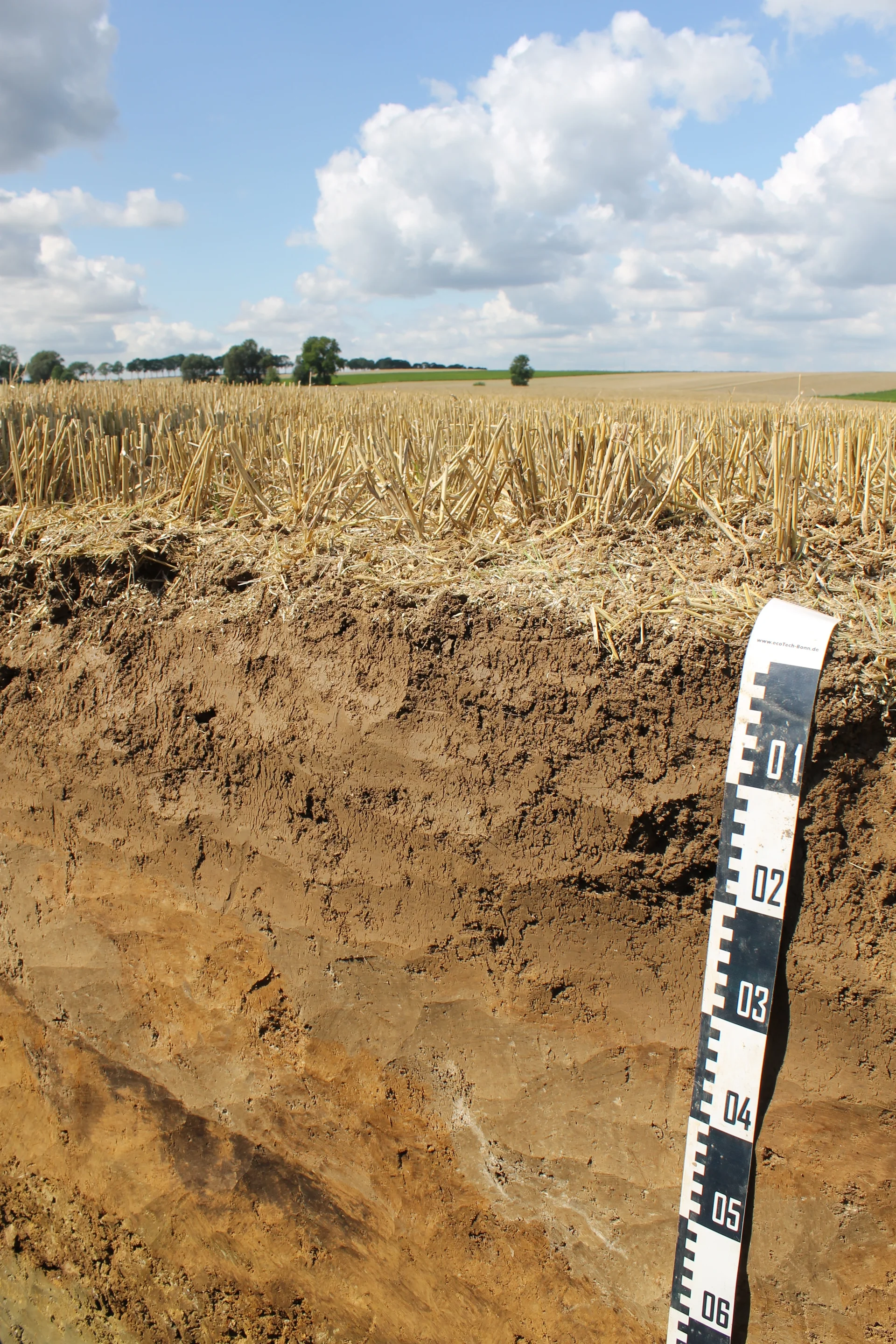 Deep ploughed Luvisol