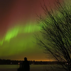 Magic Night I
