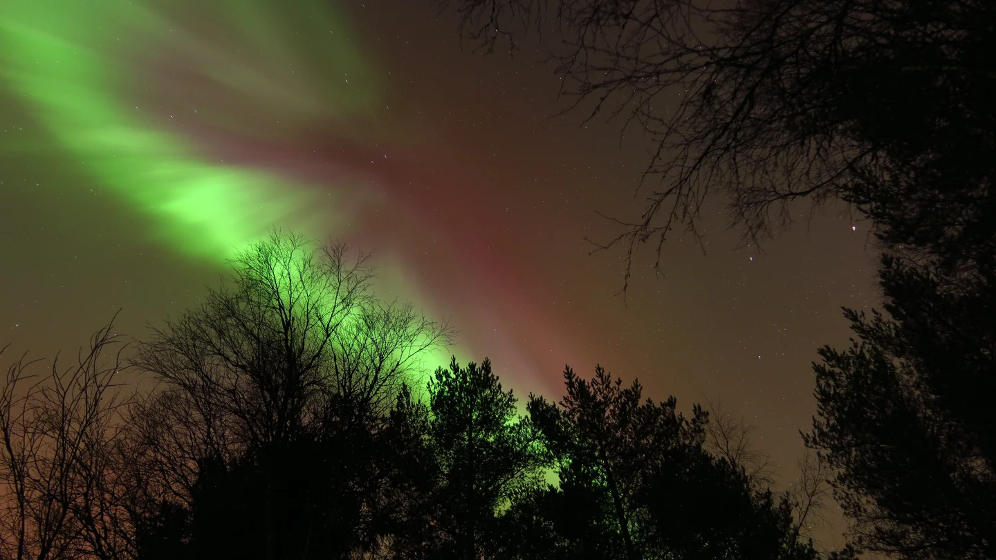 Magic Night II
