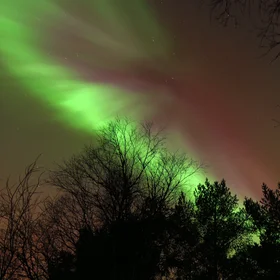 Magic Night II