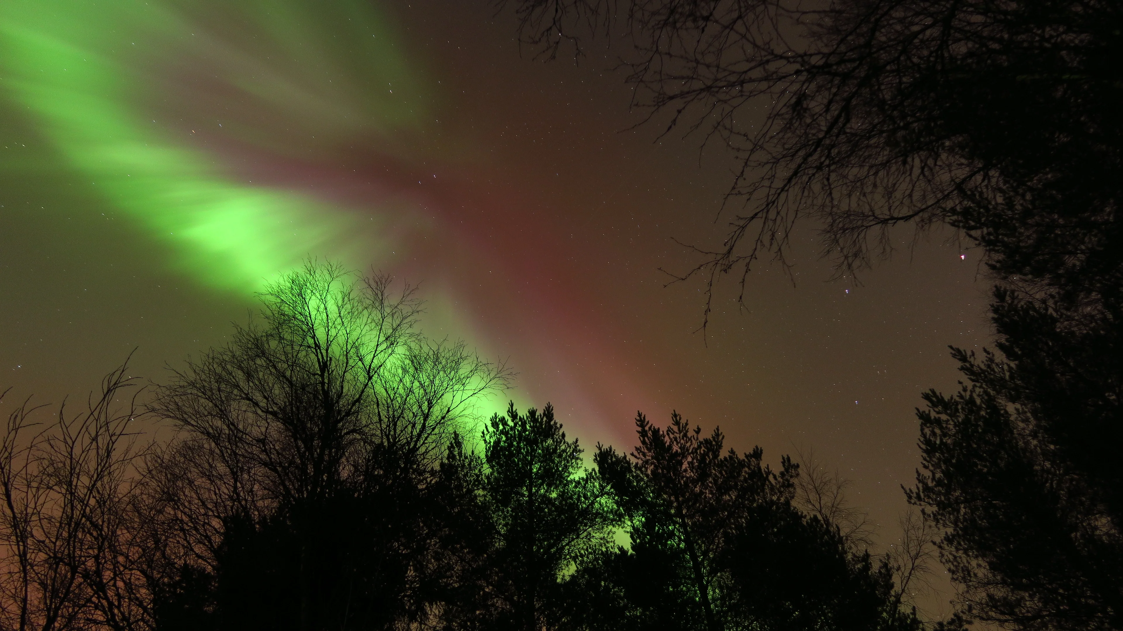 Magic Night II