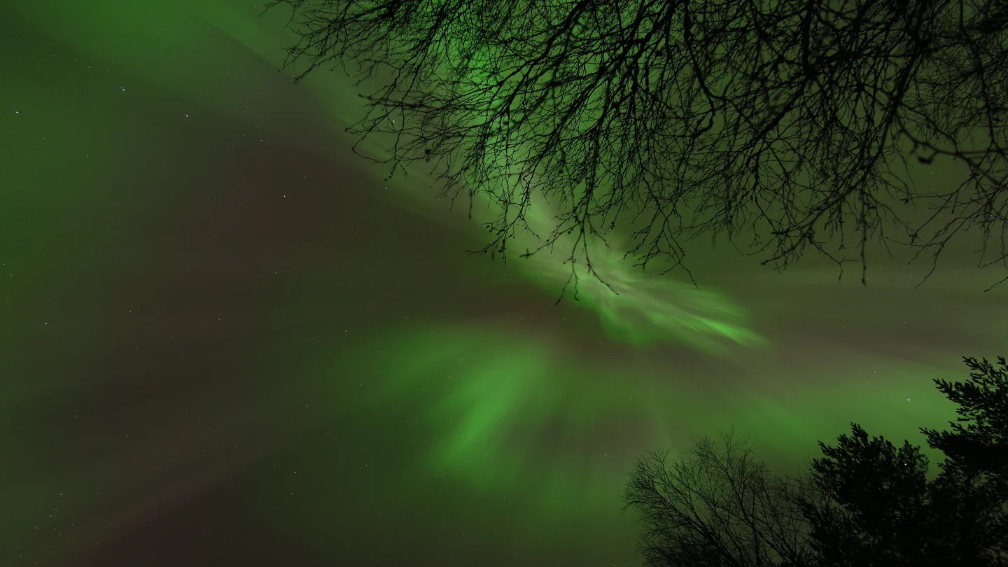 Magic Night III