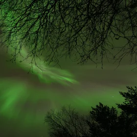 Magic Night III