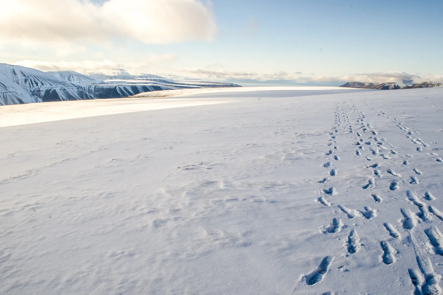 Foxfonna glacier