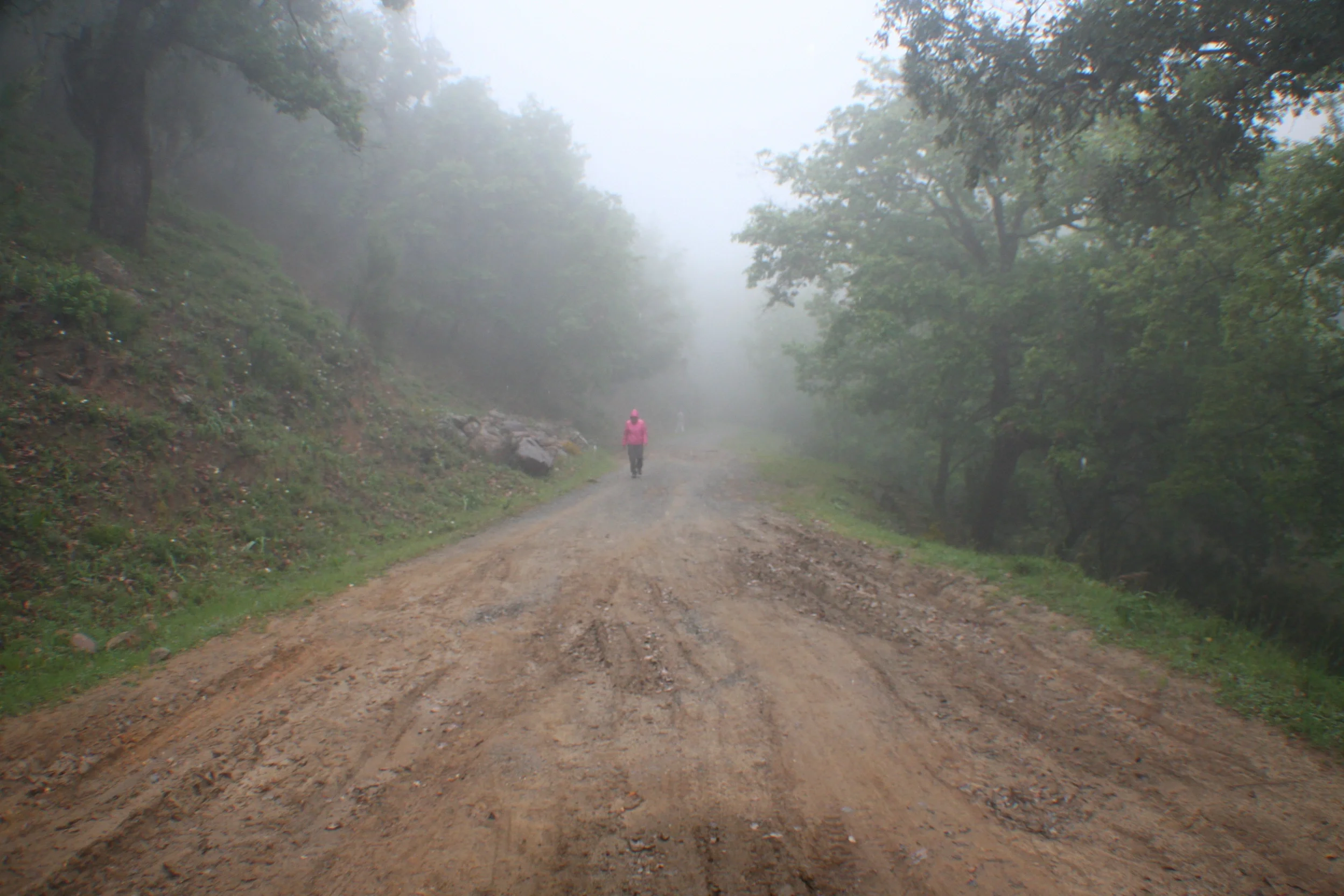 Soil erosion in unpaved forest roads