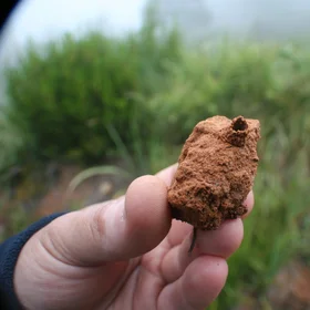 Clay building in a soil aggregate
