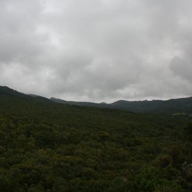 Los Alcornocales Natural Park