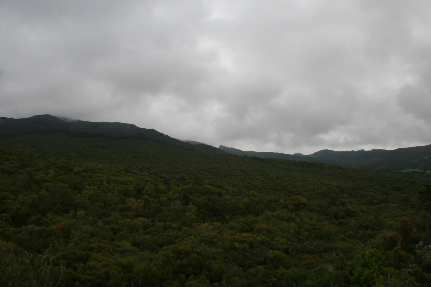 Los Alcornocales Natural Park