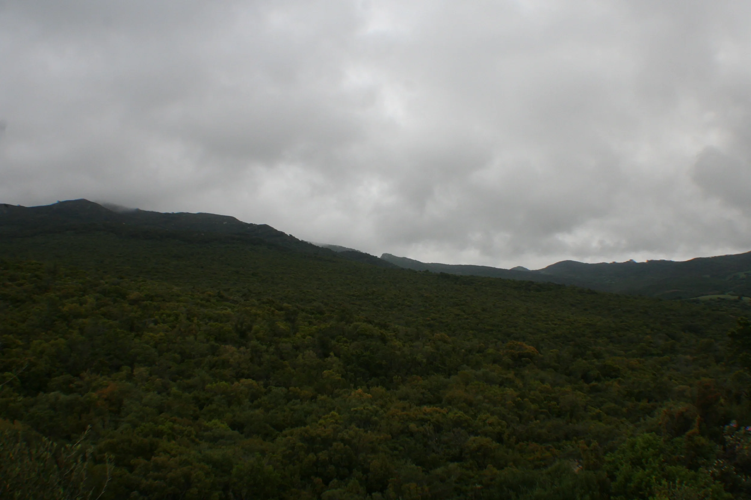 Los Alcornocales Natural Park