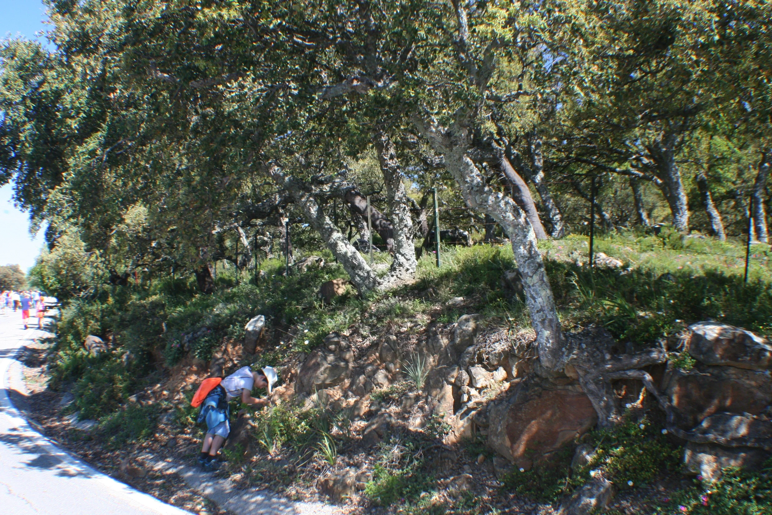 Young soil student