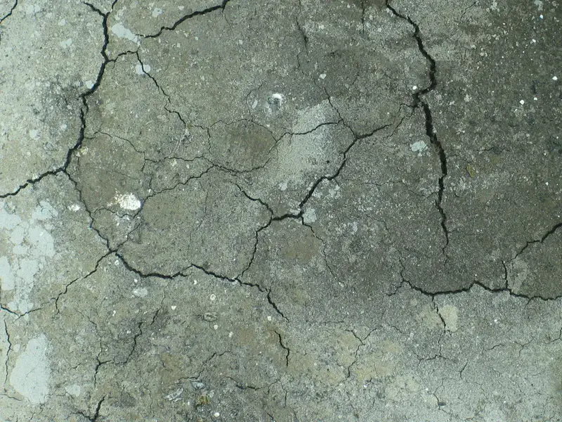 Soil surface showing platty structure