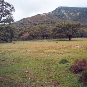 Montero River valley in Los Alcornocales Natural Park, Cadiz, SW SPain