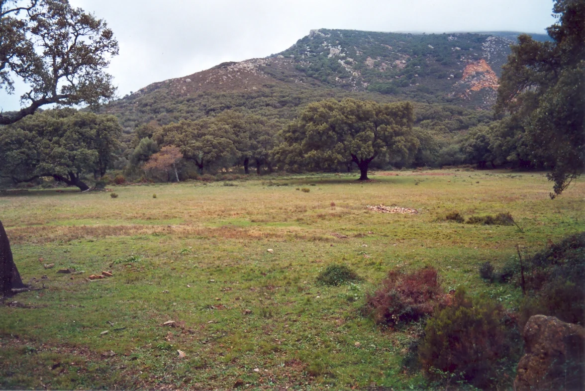 Montero River valley in Los Alcornocales Natural Park, Cadiz, SW SPain