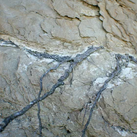 Salt concentration around roots at Casteltallat Mountains (Barcelona)