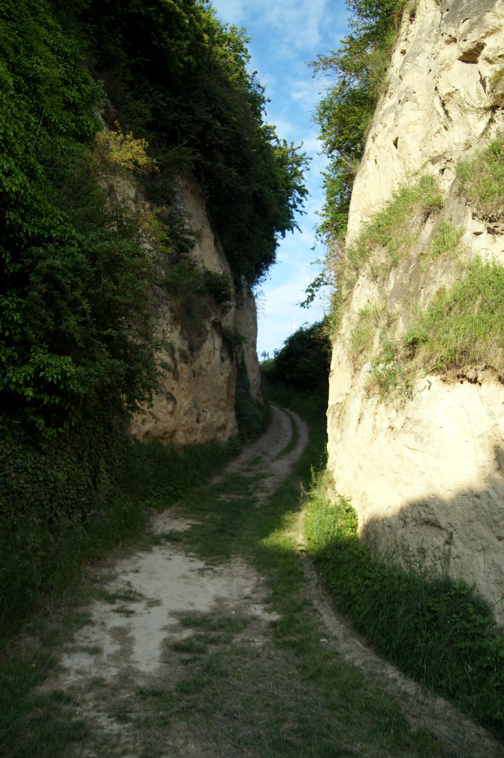 Loess wall