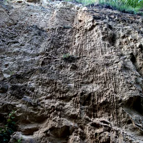 Loess stalaktites